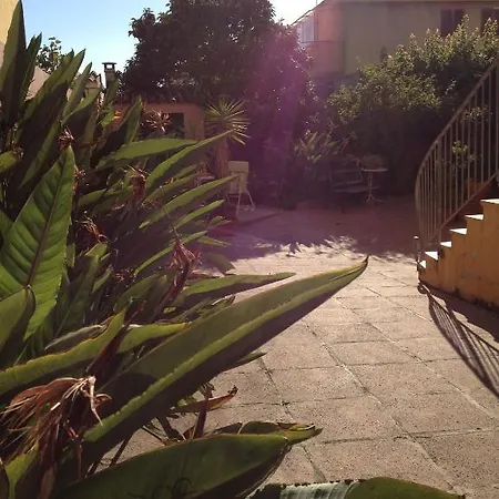 Konukevi Ciro's House