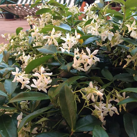 게스트하우스 Ciro's House 올비아