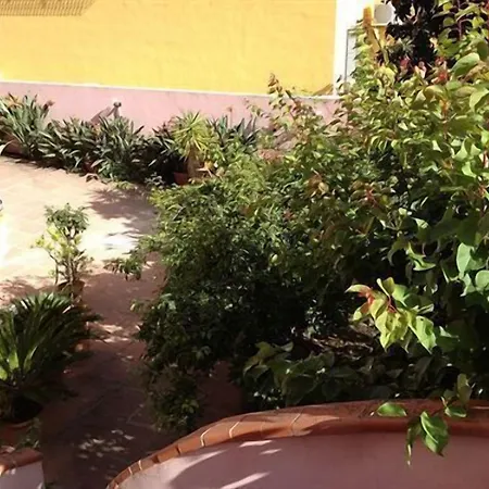 Vendégház Ciro's House