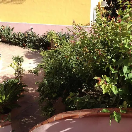 Guest house Ciro's House Olbia