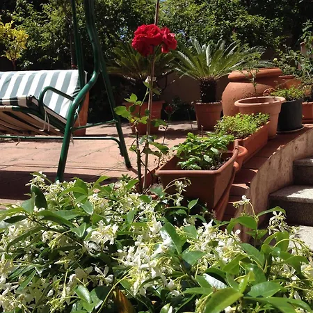 Guest house Ciro's House Olbia